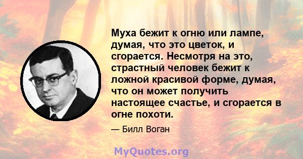 Муха бежит к огню или лампе, думая, что это цветок, и сгорается. Несмотря на это, страстный человек бежит к ложной красивой форме, думая, что он может получить настоящее счастье, и сгорается в огне похоти.