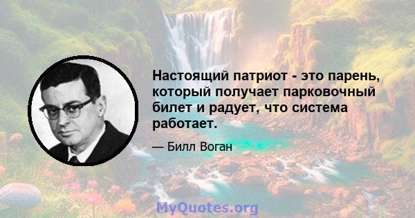 Настоящий патриот - это парень, который получает парковочный билет и радует, что система работает.