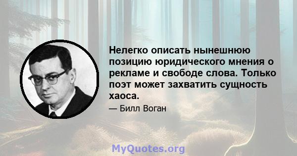 Нелегко описать нынешнюю позицию юридического мнения о рекламе и свободе слова. Только поэт может захватить сущность хаоса.