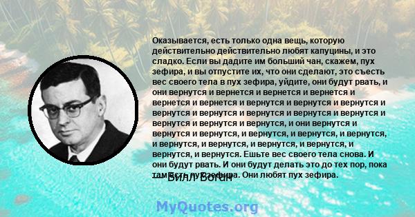 Оказывается, есть только одна вещь, которую действительно действительно любят капуцины, и это сладко. Если вы дадите им больший чан, скажем, пух зефира, и вы отпустите их, что они сделают, это съесть вес своего тела в