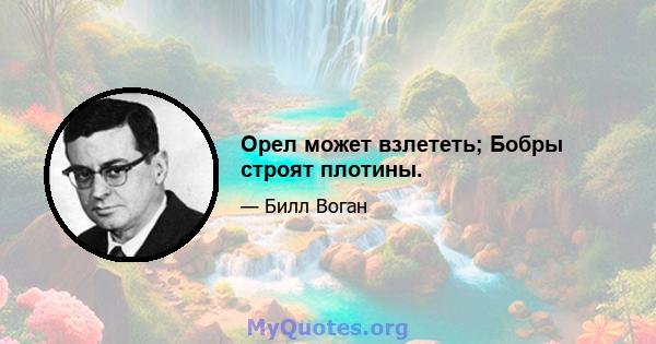 Орел может взлететь; Бобры строят плотины.