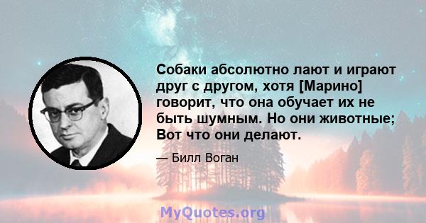 Собаки абсолютно лают и играют друг с другом, хотя [Марино] говорит, что она обучает их не быть шумным. Но они животные; Вот что они делают.