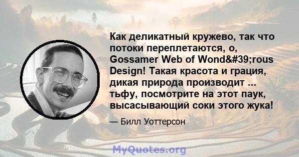 Как деликатный кружево, так что потоки переплетаются, о, Gossamer Web of Wond'rous Design! Такая красота и грация, дикая природа производит ... тьфу, посмотрите на этот паук, высасывающий соки этого жука!