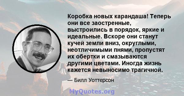 Коробка новых карандаша! Теперь они все заостренные, выстроились в порядок, яркие и идеальные. Вскоре они станут кучей земли вниз, округлыми, неотличимыми пнями, пропустят их обертки и смазываются другими цветами.