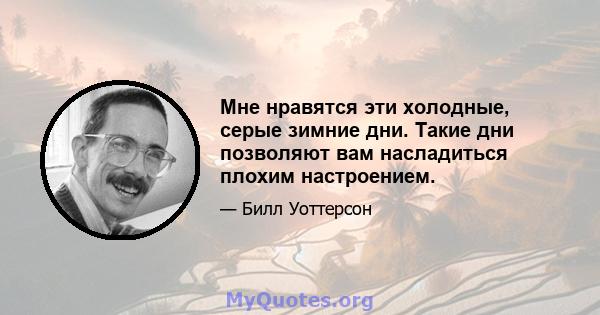 Мне нравятся эти холодные, серые зимние дни. Такие дни позволяют вам насладиться плохим настроением.