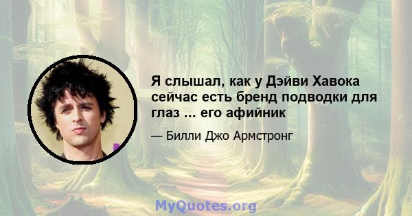 Я слышал, как у Дэйви Хавока сейчас есть бренд подводки для глаз ... его афийник