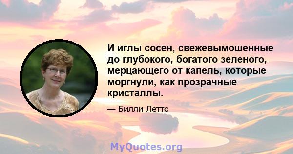 И иглы сосен, свежевымошенные до глубокого, богатого зеленого, мерцающего от капель, которые моргнули, как прозрачные кристаллы.