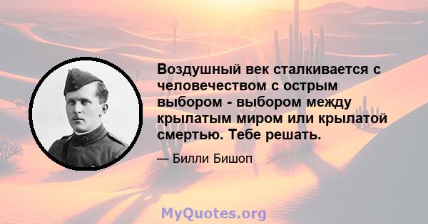 Воздушный век сталкивается с человечеством с острым выбором - выбором между крылатым миром или крылатой смертью. Тебе решать.