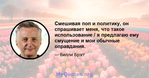 Смешивая поп и политику, он спрашивает меня, что такое использование / я предлагаю ему смущение и мои обычные оправдания.