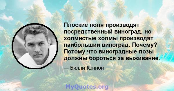 Плоские поля производят посредственный виноград, но холмистые холмы производят наибольший виноград. Почему? Потому что виноградные лозы должны бороться за выживание.