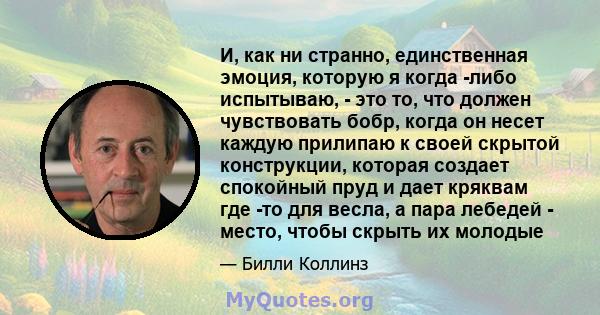 И, как ни странно, единственная эмоция, которую я когда -либо испытываю, - это то, что должен чувствовать бобр, когда он несет каждую прилипаю к своей скрытой конструкции, которая создает спокойный пруд и дает кряквам