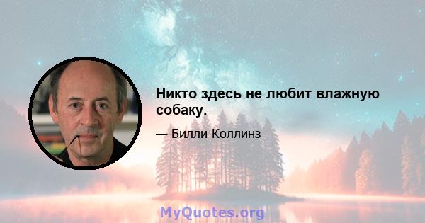 Никто здесь не любит влажную собаку.