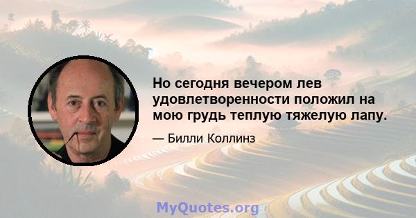 Но сегодня вечером лев удовлетворенности положил на мою грудь теплую тяжелую лапу.