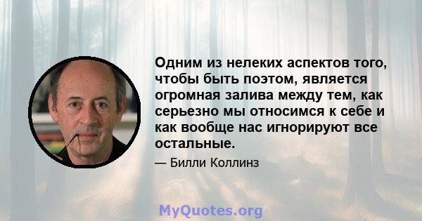 Одним из нелеких аспектов того, чтобы быть поэтом, является огромная залива между тем, как серьезно мы относимся к себе и как вообще нас игнорируют все остальные.