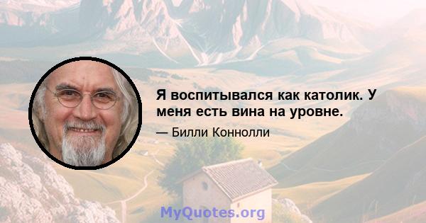 Я воспитывался как католик. У меня есть вина на уровне.