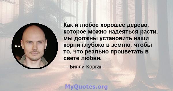 Как и любое хорошее дерево, которое можно надеяться расти, мы должны установить наши корни глубоко в землю, чтобы то, что реально процветать в свете любви.