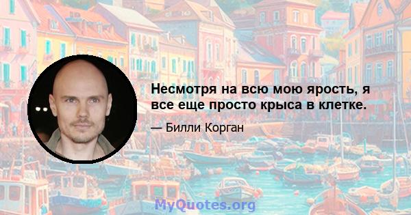 Несмотря на всю мою ярость, я все еще просто крыса в клетке.