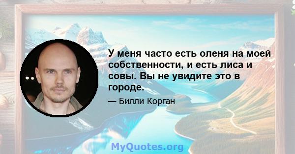 У меня часто есть оленя на моей собственности, и есть лиса и совы. Вы не увидите это в городе.