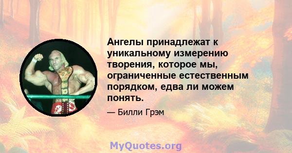 Ангелы принадлежат к уникальному измерению творения, которое мы, ограниченные естественным порядком, едва ли можем понять.