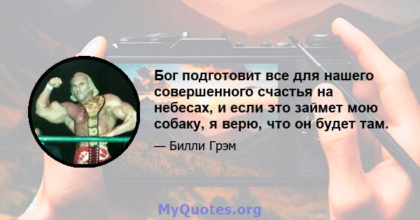 Бог подготовит все для нашего совершенного счастья на небесах, и если это займет мою собаку, я верю, что он будет там.