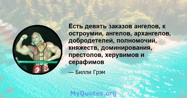 Есть девять заказов ангелов, к остроумии, ангелов, архангелов, добродетелей, полномочий, княжеств, доминирования, престолов, херувимов и серафимов