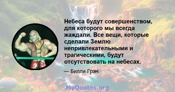 Небеса будут совершенством, для которого мы всегда жаждали. Все вещи, которые сделали Землю непривлекательными и трагическими, будут отсутствовать на небесах.