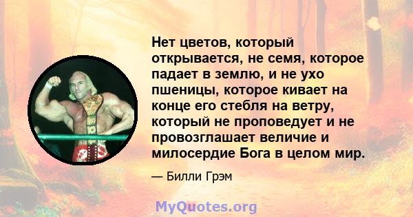 Нет цветов, который открывается, не семя, которое падает в землю, и не ухо пшеницы, которое кивает на конце его стебля на ветру, который не проповедует и не провозглашает величие и милосердие Бога в целом мир.