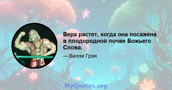 Вера растет, когда она посажена в плодородной почве Божьего Слова.