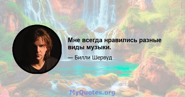 Мне всегда нравились разные виды музыки.