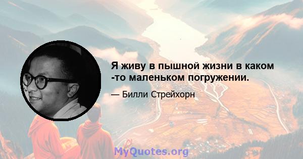 Я живу в пышной жизни в каком -то маленьком погружении.