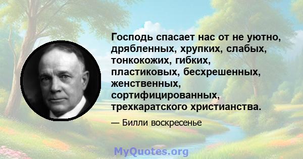 Господь спасает нас от не уютно, дрябленных, хрупких, слабых, тонкокожих, гибких, пластиковых, бесхрешенных, женственных, сортифицированных, трехкаратского христианства.