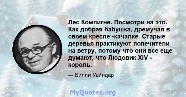 Лес Компигне. Посмотри на это. Как добрая бабушка, дремучая в своем кресле -качалке. Старые деревья практикуют попечители на ветру, потому что они все еще думают, что Людовик XIV - король.