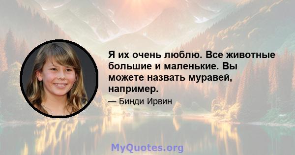 Я их очень люблю. Все животные большие и маленькие. Вы можете назвать муравей, например.