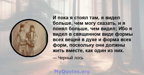 И пока я стоял там, я видел больше, чем могу сказать, и я понял больше, чем видел; Ибо я видел в священном виде формы всех вещей в духе и форма всех форм, поскольку они должны жить вместе, как один из них.