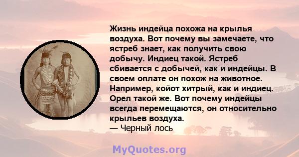 Жизнь индейца похожа на крылья воздуха. Вот почему вы замечаете, что ястреб знает, как получить свою добычу. Индиец такой. Ястреб сбивается с добычей, как и индейцы. В своем оплате он похож на животное. Например, койот