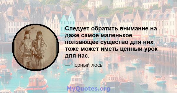 Следует обратить внимание на даже самое маленькое ползающее существо для них тоже может иметь ценный урок для нас.