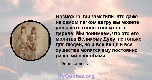 Возможно, вы заметили, что даже на самом легком ветру вы можете услышать голос хлопкового дерева; Мы понимаем, что это его молитва Великому Духу, не только для людей, но и все вещи и все существа молятся ему постоянно