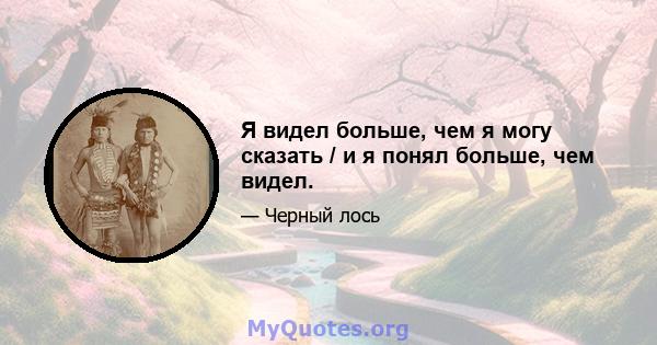 Я видел больше, чем я могу сказать / и я понял больше, чем видел.