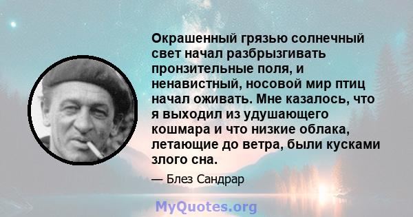 Окрашенный грязью солнечный свет начал разбрызгивать пронзительные поля, и ненавистный, носовой мир птиц начал оживать. Мне казалось, что я выходил из удушающего кошмара и что низкие облака, летающие до ветра, были