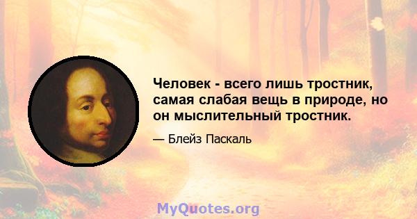 Человек - всего лишь тростник, самая слабая вещь в природе, но он мыслительный тростник.