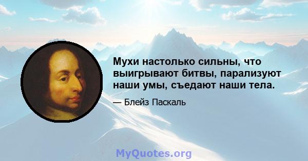 Мухи настолько сильны, что выигрывают битвы, парализуют наши умы, съедают наши тела.