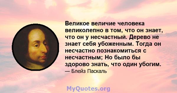 Великое величие человека великолепно в том, что он знает, что он у несчастный. Дерево не знает себя убоженным. Тогда он несчастно познакомиться с несчастным; Но было бы здорово знать, что один убогим.