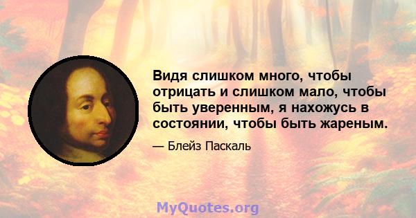 Видя слишком много, чтобы отрицать и слишком мало, чтобы быть уверенным, я нахожусь в состоянии, чтобы быть жареным.