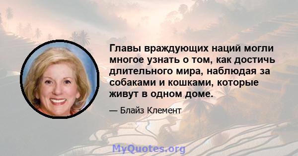 Главы враждующих наций могли многое узнать о том, как достичь длительного мира, наблюдая за собаками и кошками, которые живут в одном доме.