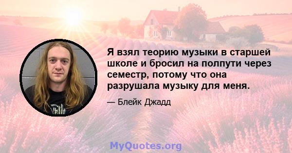 Я взял теорию музыки в старшей школе и бросил на полпути через семестр, потому что она разрушала музыку для меня.