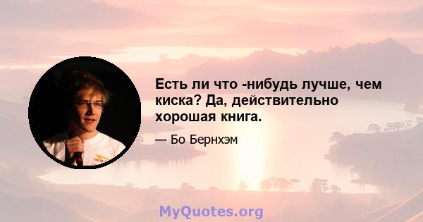 Есть ли что -нибудь лучше, чем киска? Да, действительно хорошая книга.