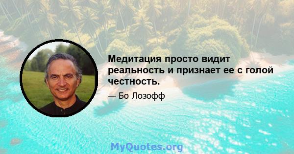 Медитация просто видит реальность и признает ее с голой честность.