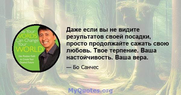 Даже если вы не видите результатов своей посадки, просто продолжайте сажать свою любовь. Твое терпение. Ваша настойчивость. Ваша вера.