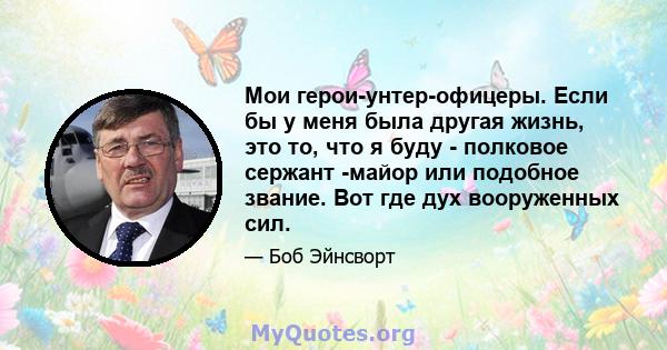 Мои герои-унтер-офицеры. Если бы у меня была другая жизнь, это то, что я буду - полковое сержант -майор или подобное звание. Вот где дух вооруженных сил.