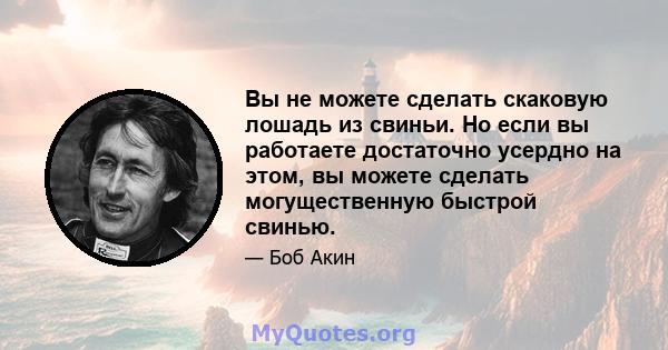 Вы не можете сделать скаковую лошадь из свиньи. Но если вы работаете достаточно усердно на этом, вы можете сделать могущественную быстрой свинью.